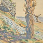 1067 6314 Pastell